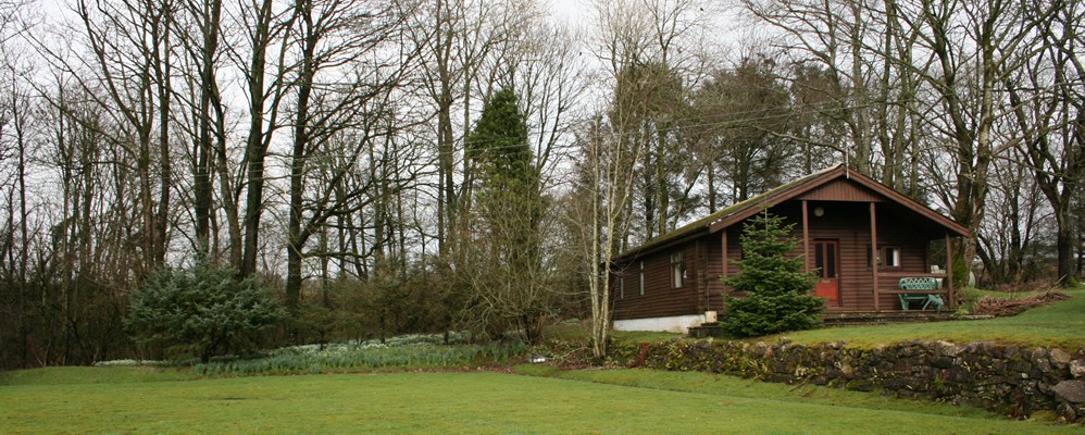 Log Cabin Grounds